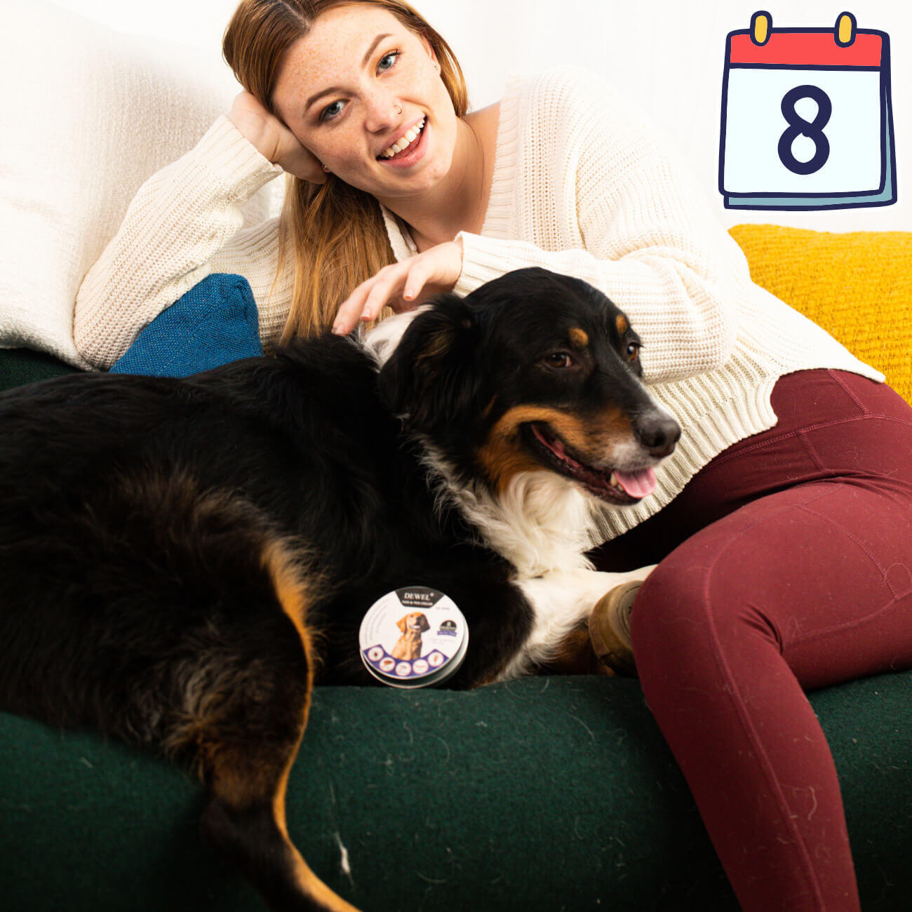 How DEWEL™ Fits Into Your Dog’s Daily Routine? How DEWEL™ Fits Into Your Dog’s Daily Routine?